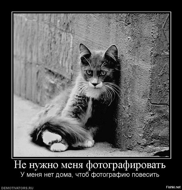 Весëлые картинки