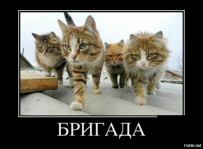 Весëлые картинки