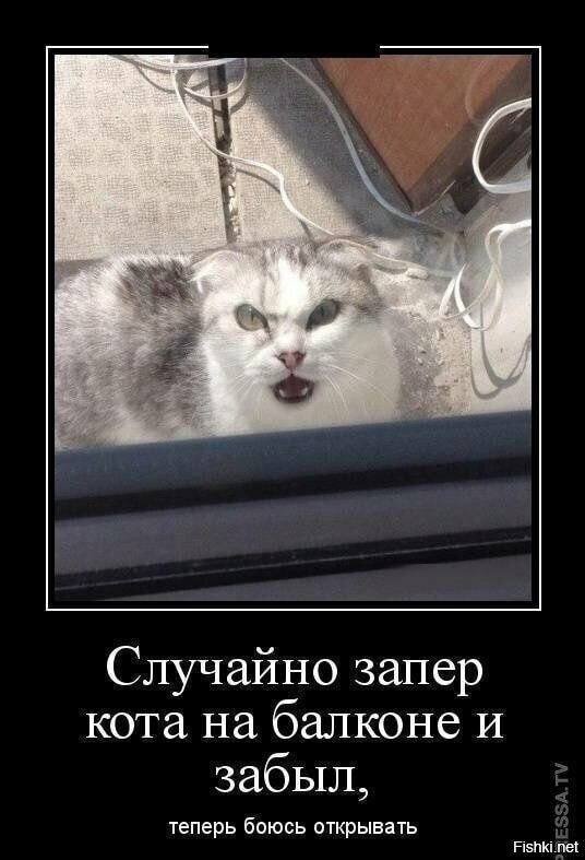Весëлые картинки