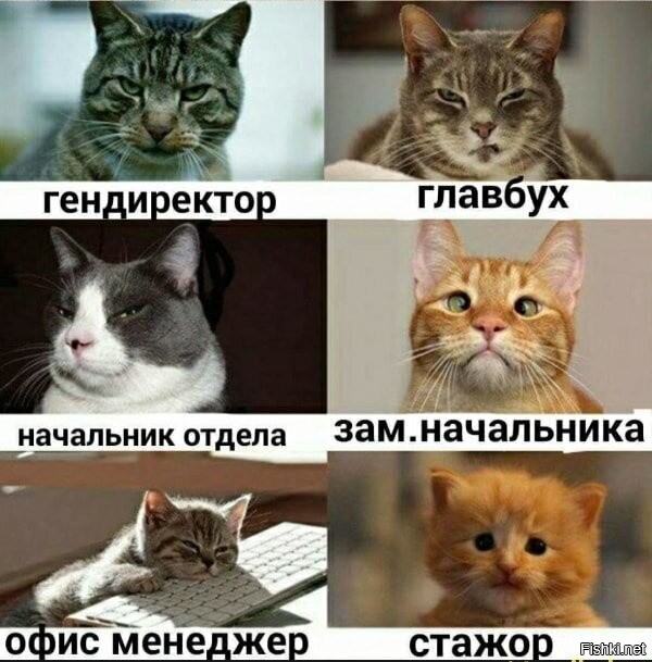 Весëлые картинки