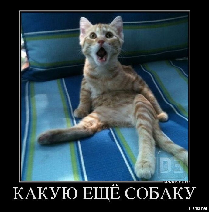 Весëлые картинки