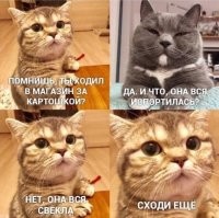 Весëлые картинки