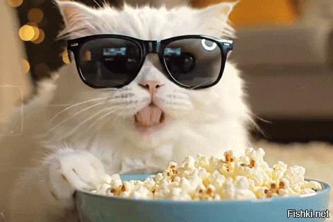 Королева самбы показала, как готовится к карнавалу в Бразилии