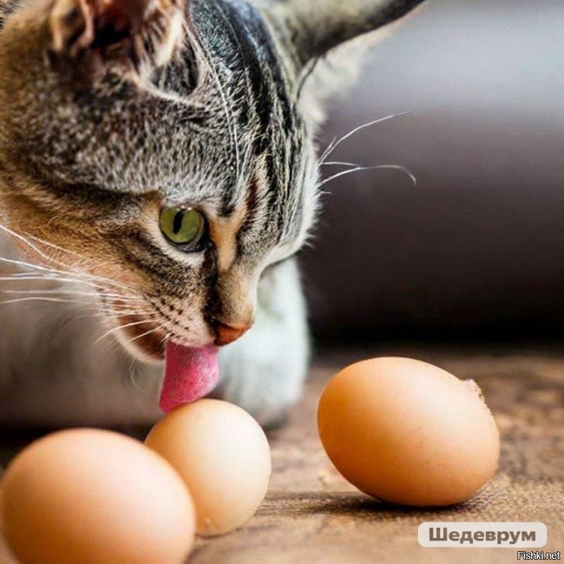 Это немного по другому называется, но смысл тот же! )