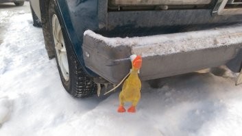 Да это парктроник!