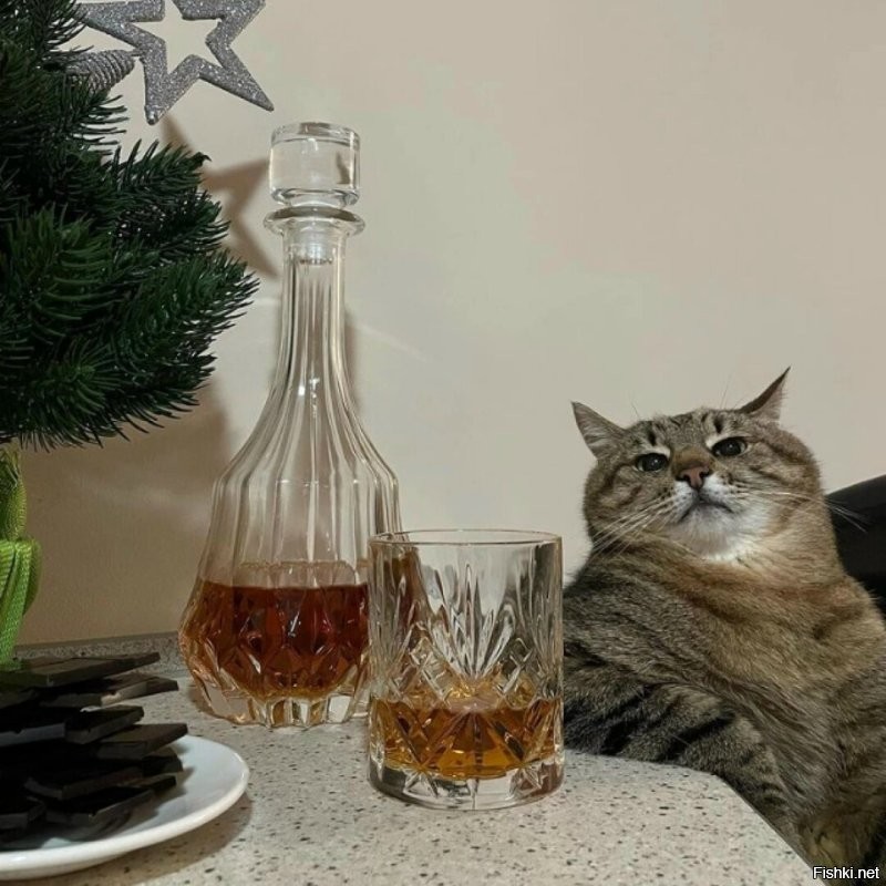 Мои поздравления!  Ваше здоровье