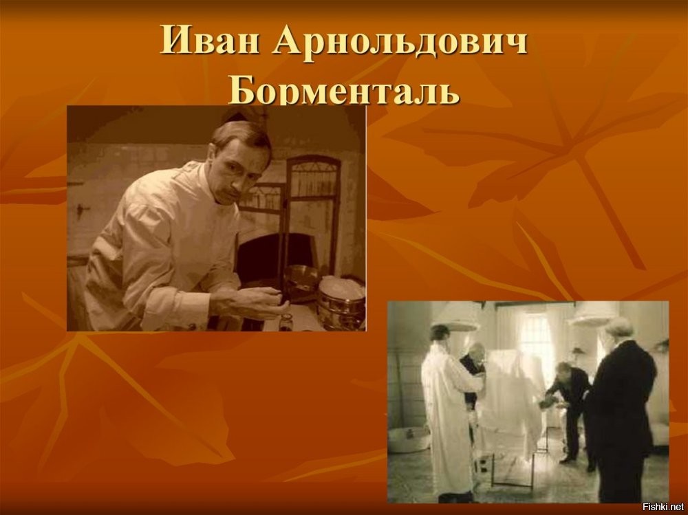 Манул глаженный, счастливый