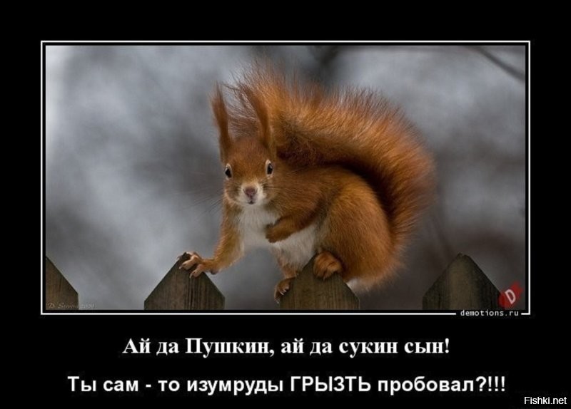 Солянка от 22.02.2026