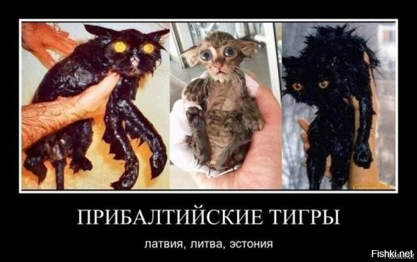 Политическая солянка. Часть 363