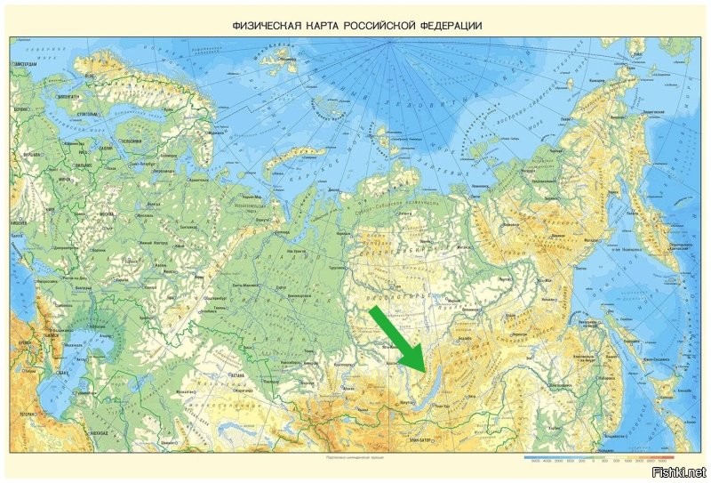 Передайте, пожалуйста, Шаману.