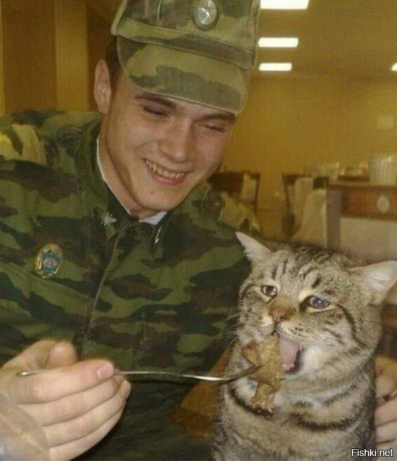 Это самое главное!