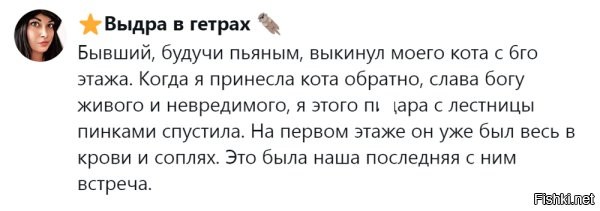 У отца был коллега, который жил с сожительницей и её двумя котиками. Чувак был лысым. Один раз он взял служебный компьютер домой и работал. В это время шерстяные гонялись по шкафам и библиотеке в комнате. Один решил использовать его лысый череп, чтобы спрыгнуть с верхней полки. То ли не удержался, то ли чувак попытался сбросить..., но кот выпустил когти и разодрал кожу в британский флаг, аж до черепной коробки. Чувак, на нервах, схватил обоих нахлебников и вышвырнул в окно (4ет.). В это время его жена вышвырнула компьютер из окна кухни... А к вечеру, нагулявшись и успокоившись, шерстяные нарисовались под дверью, в то время как чувак ещё таскался по больницам, в ожидании хирурга, который будет шить.