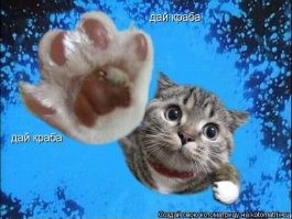 В Испании жених случайно «отбил пятюню» священнику на свадьбе