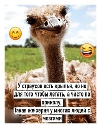 Покарали Кару: ликвидация двух боевичек вызвала панику в ВСУ