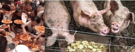 Просто гифки, всякие и&nbsp;разные