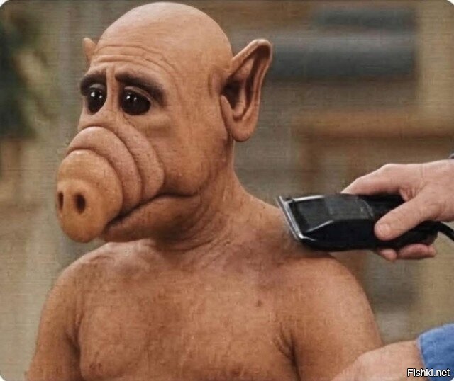 потише тяфкай , тi известен как "лизатель жопы мопса".