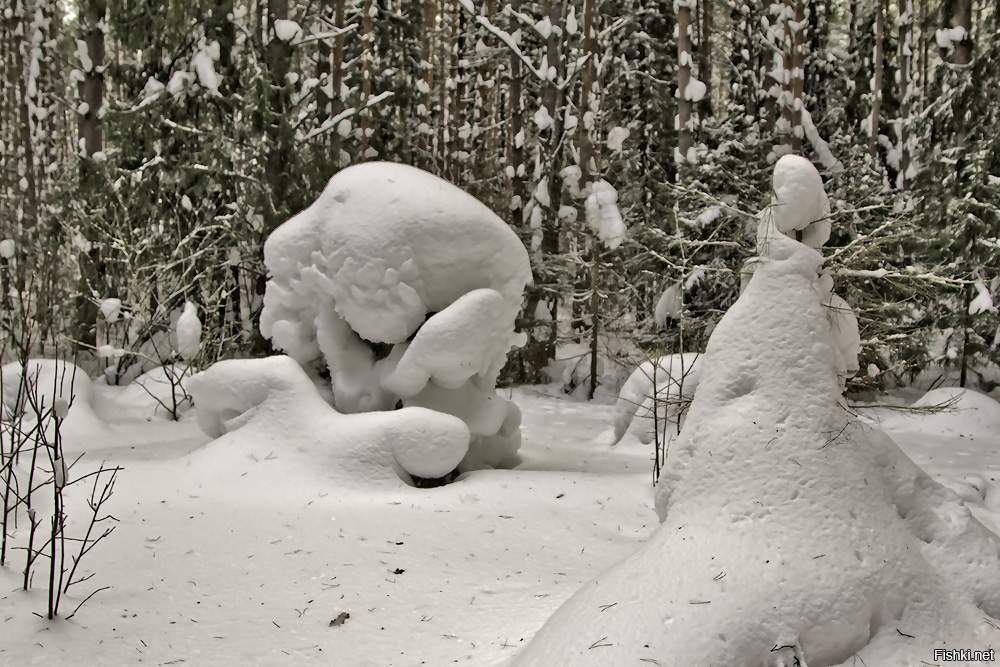 Здравствуйте, доброе!
последняя неделя зимы, как-никак