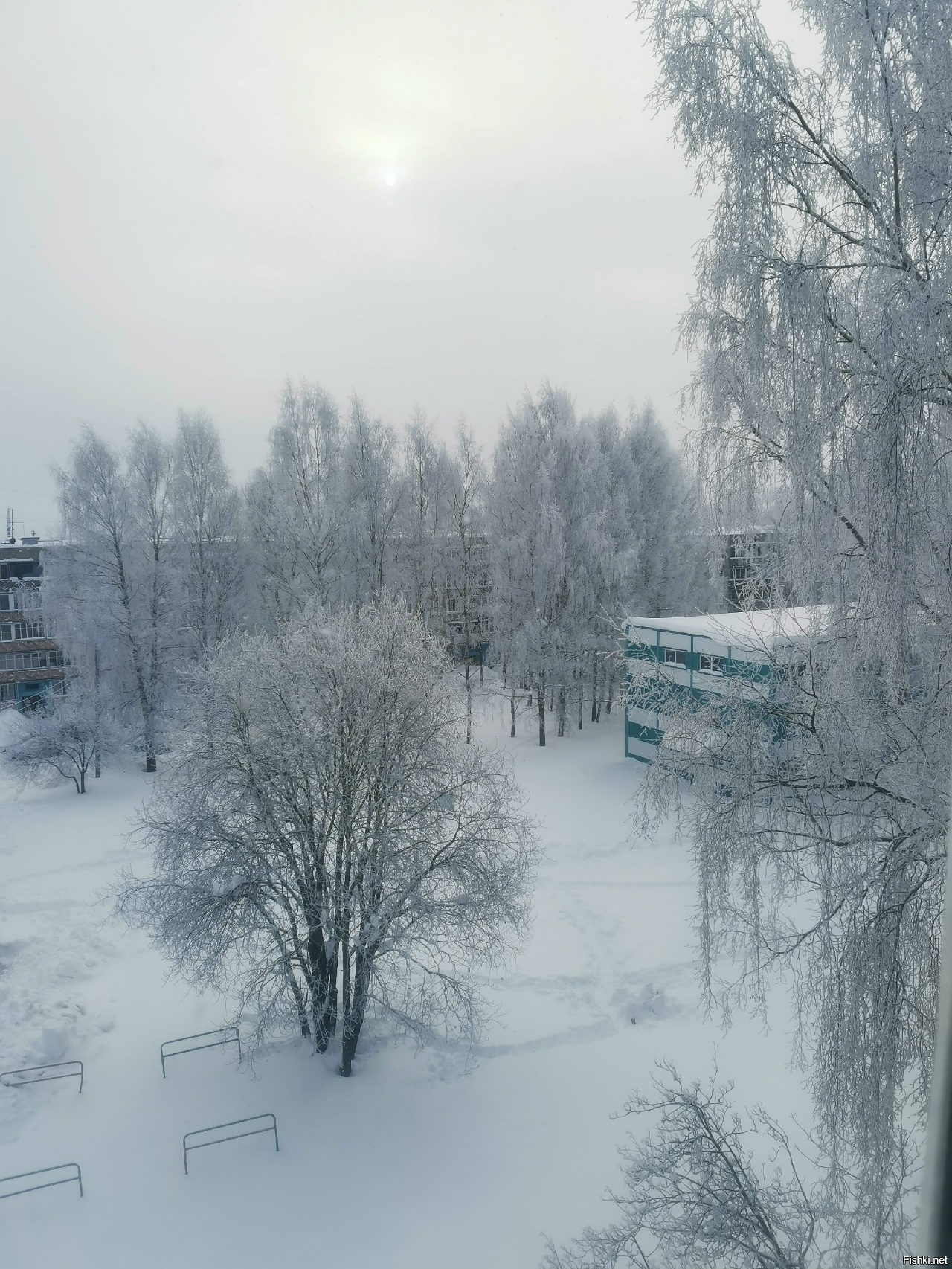 Красотища) У нас так в субботу было