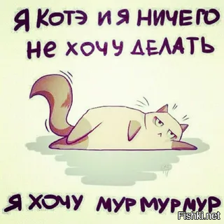 Солянка от 24.02.2026