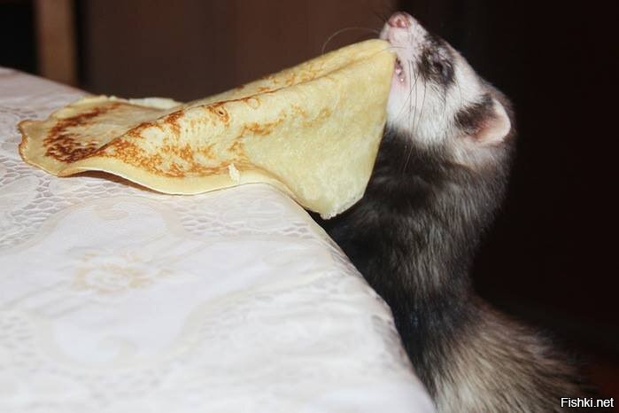 Солянка от 24.02.2026