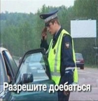 Кот-модель: пушистый с удовольствием позирует для фотосессии