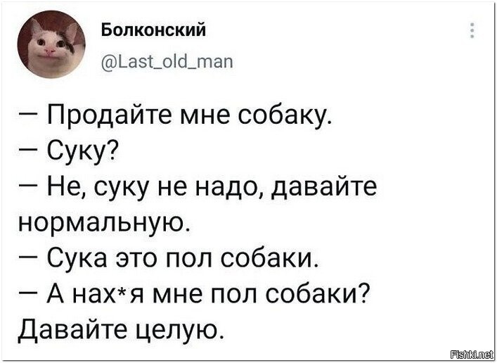 Смешные картинки