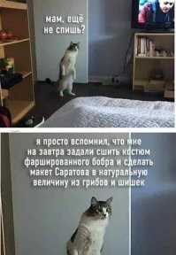 Смешные картинки