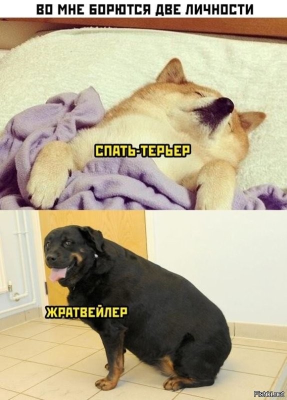 Весëлые картинки