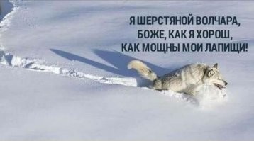 В Рязани курьер пробился через сугробы ради доставки заказа