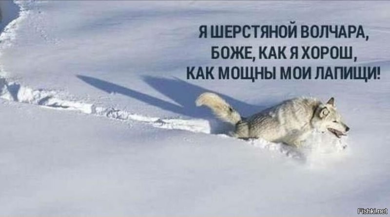 В Рязани курьер пробился через сугробы ради доставки заказа
