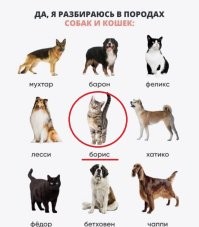 Смешные картинки