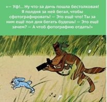 Швед, ставший персональным фотографом белок