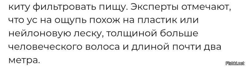Эксперты.