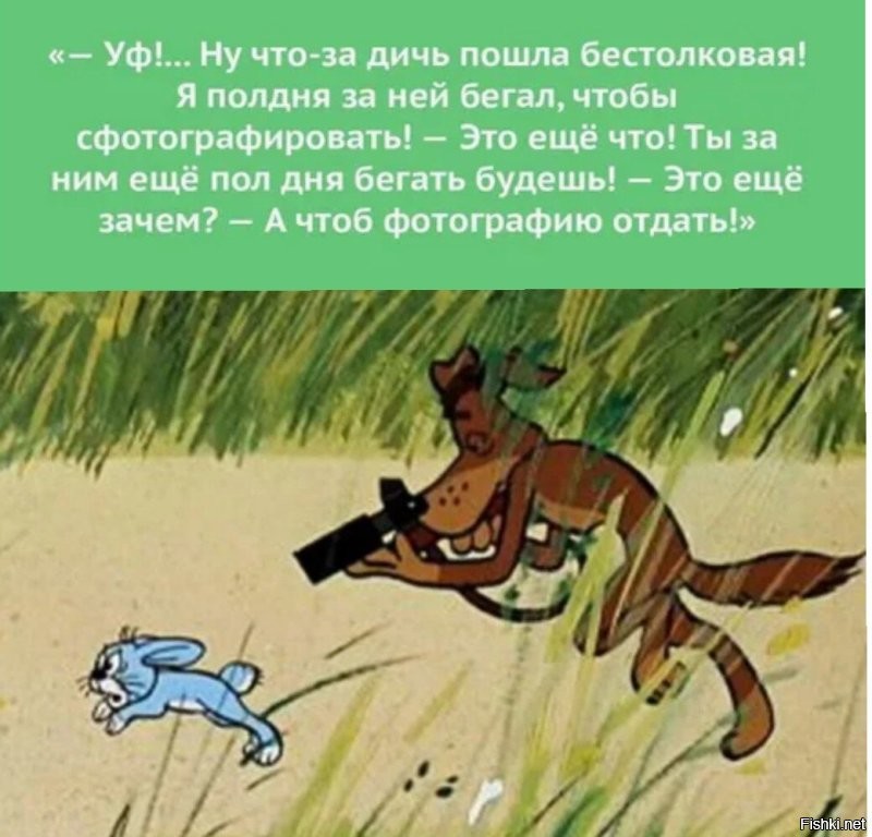 Швед, ставший персональным фотографом белок
