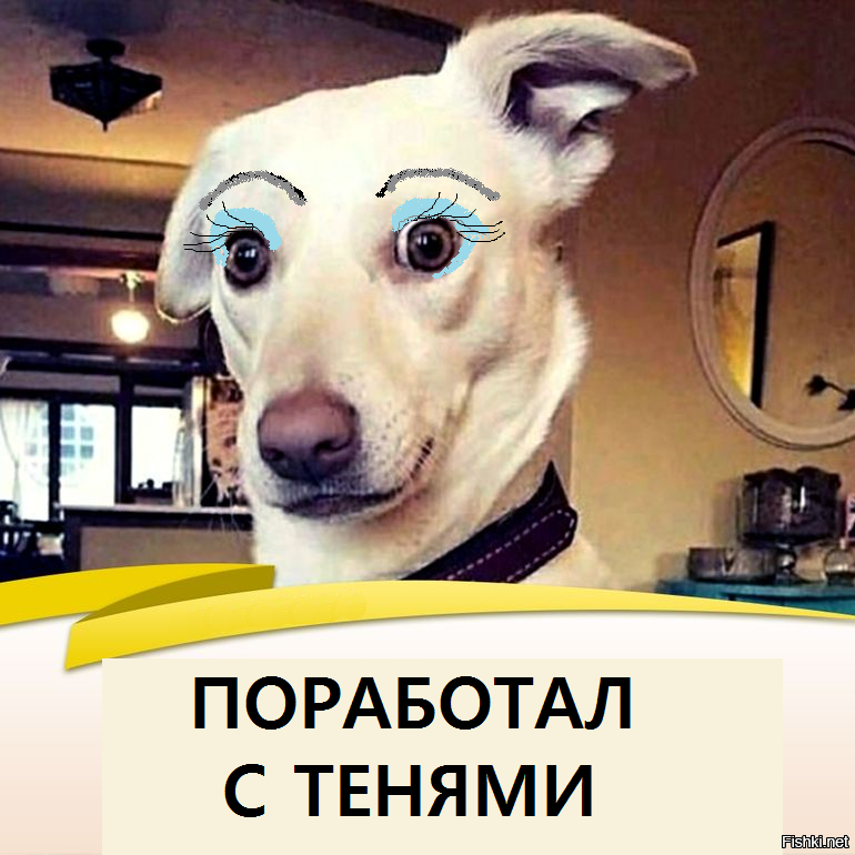 Солянка от 24.02.2026