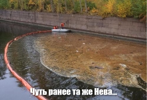 Мужчина полизал лёд Невы