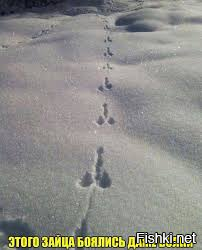 Солянка от 25.02.2026