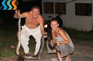 Питону повезло, что его наши не увидели