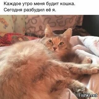 С добрым утром