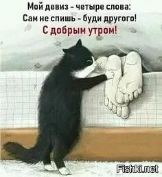 С добрым утром