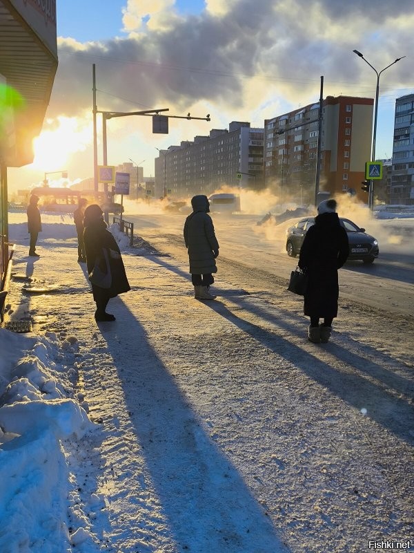-36 с утра. Даже воробьёв не видать.