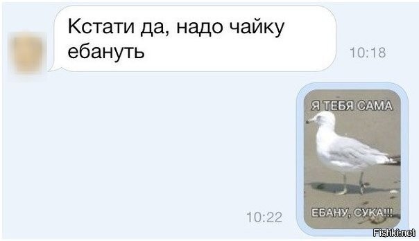 Весëлые картинки