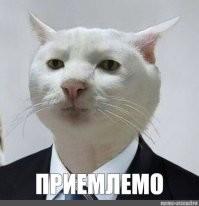 Весëлые картинки