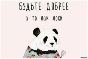 27 примеров невероятной дружбы животных, от которой мир становится добрее