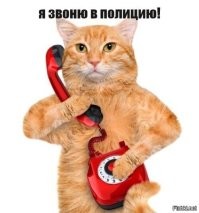 Весëлые картинки