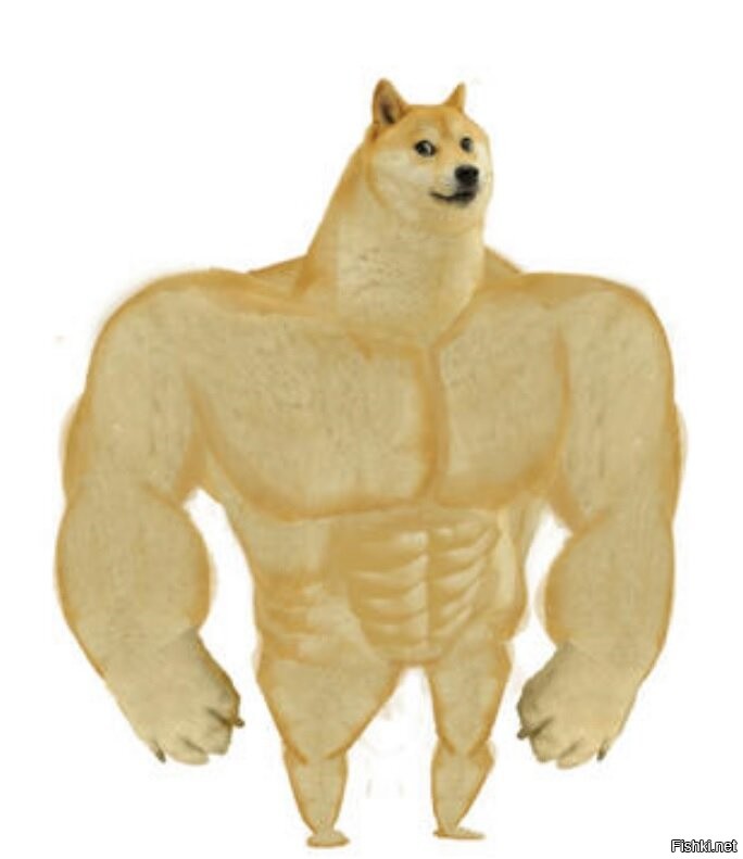 Демотиваторы дня