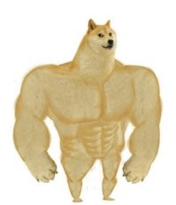 Демотиваторы   дня