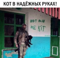За котов отдельное спасибо воинам!