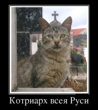 Весëлые картинки
