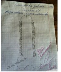 Весëлые картинки
